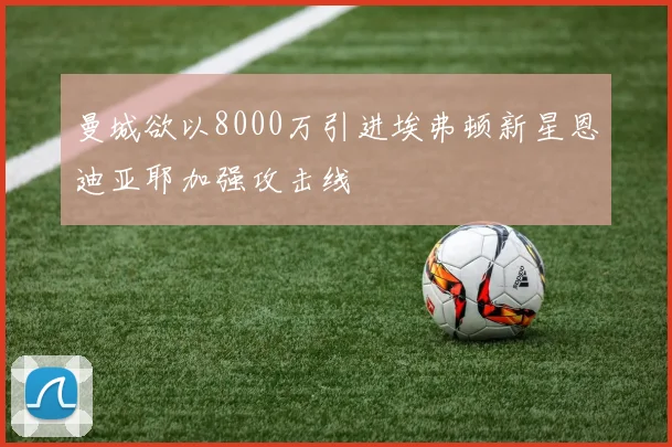 曼城欲以8000万引进埃弗顿新星恩迪亚耶加强攻击线